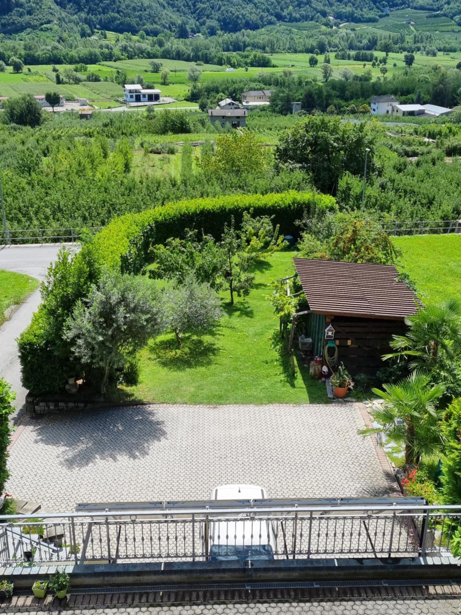 B&B Il Grappolo Bianzone Kültér fotó