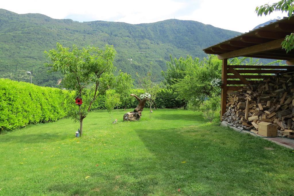 B&B Il Grappolo Bianzone Kültér fotó