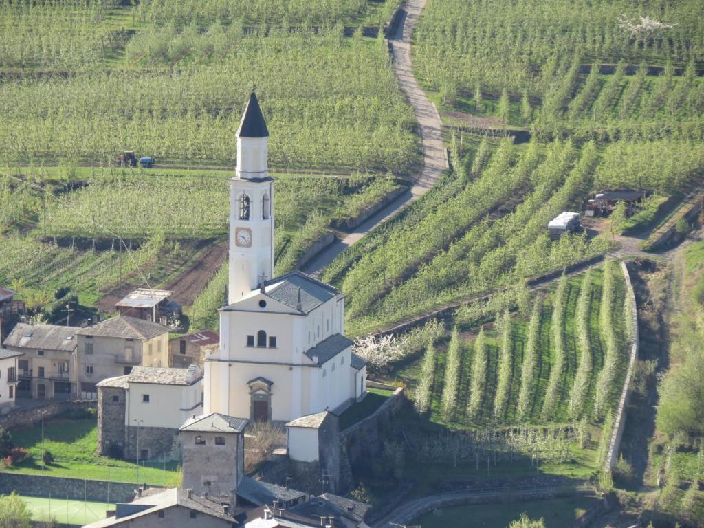 B&B Il Grappolo Bianzone Kültér fotó
